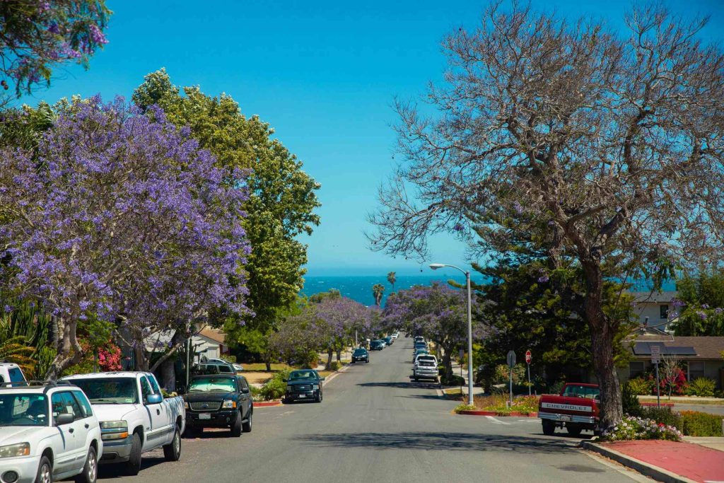 Thrifty Car Rentals