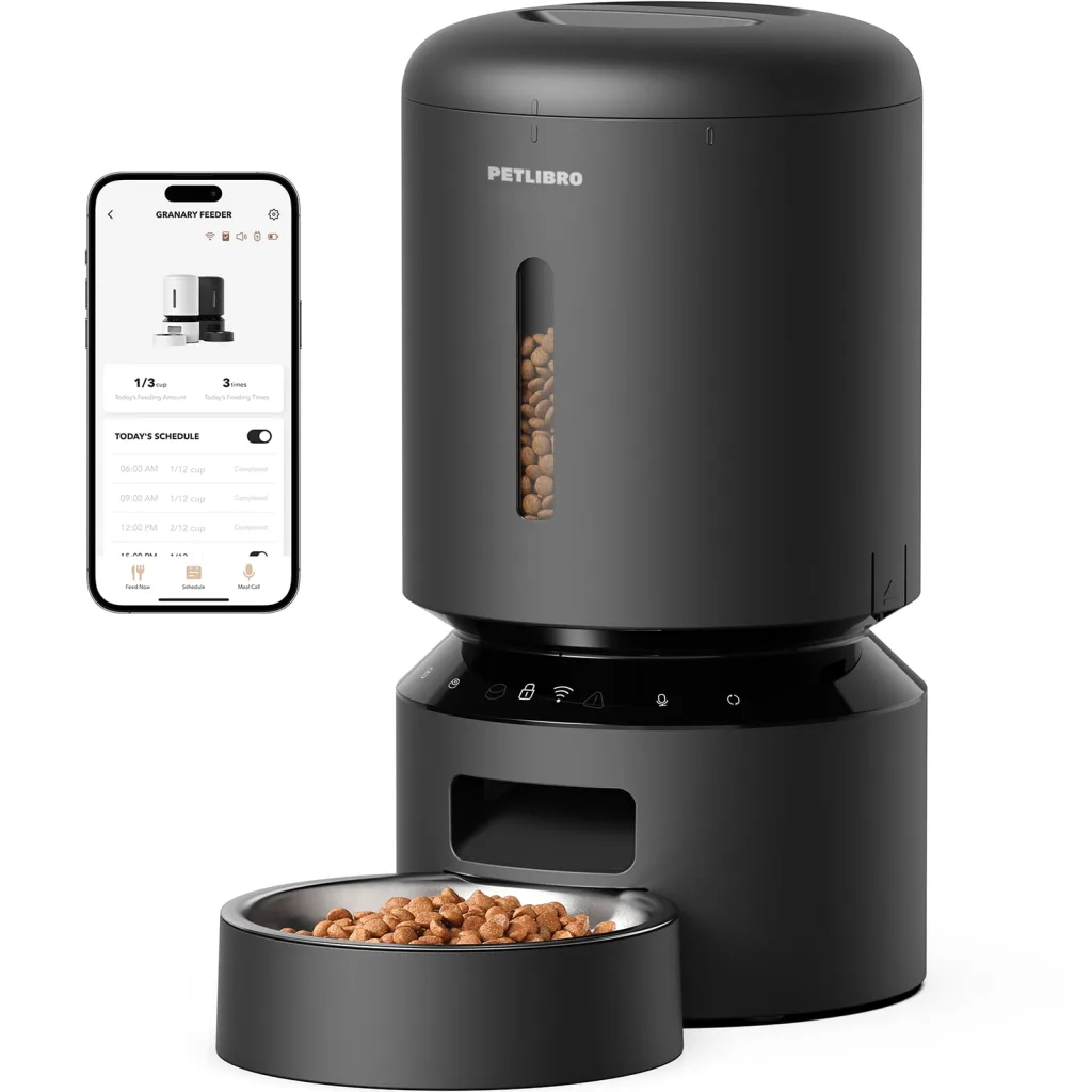 cat with automatic feeder
